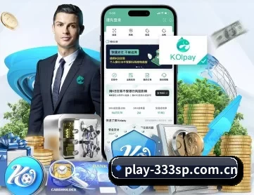 play-333sp.com.cn APP 深度功能