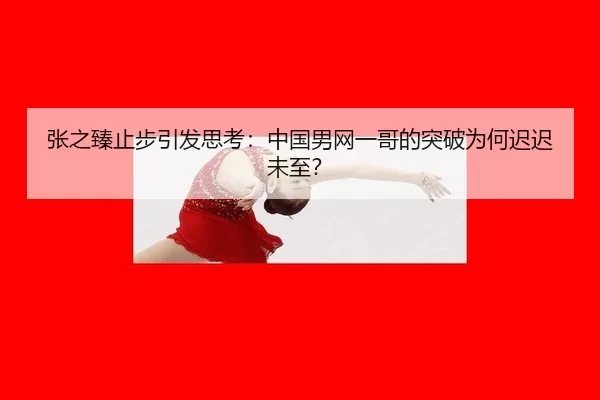 zhang-zhi-zhen-zhi-bu-yin-fa-si-kao-zhong-guo-nan-wang-yi-ge-de-tu-po-wei-he-chi-chi-wei-zhi-2-166.jpg