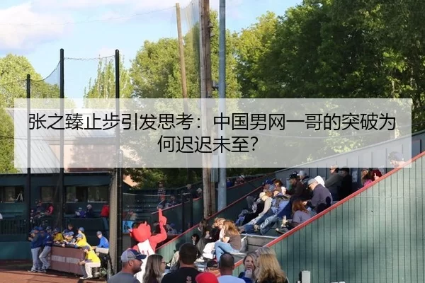 张之臻止步引发思考：中国男网一哥的突破为何迟迟未至？